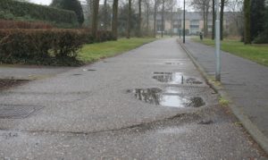 Bitterschoten-Eikenlaan
